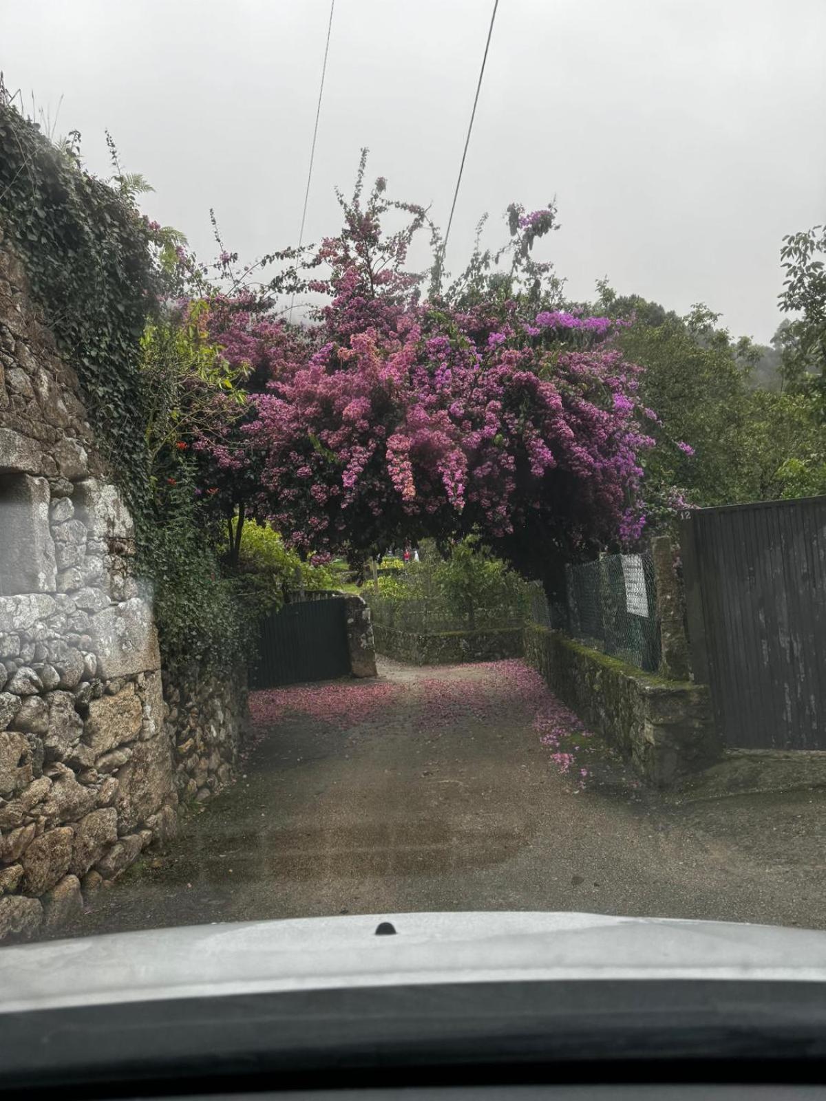 Alojamiento Casa Carlota Villadesuso Exterior foto